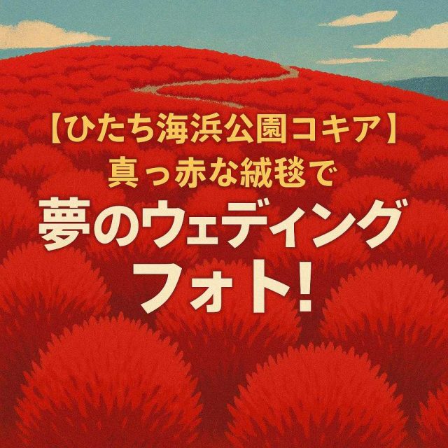 「【ひたち海浜公園コキア】真っ赤な絨毯で夢のウェディングフォト！」